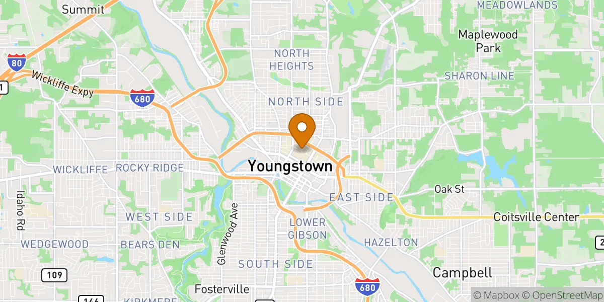 ysu neighborhood map in Youngstown, OH
